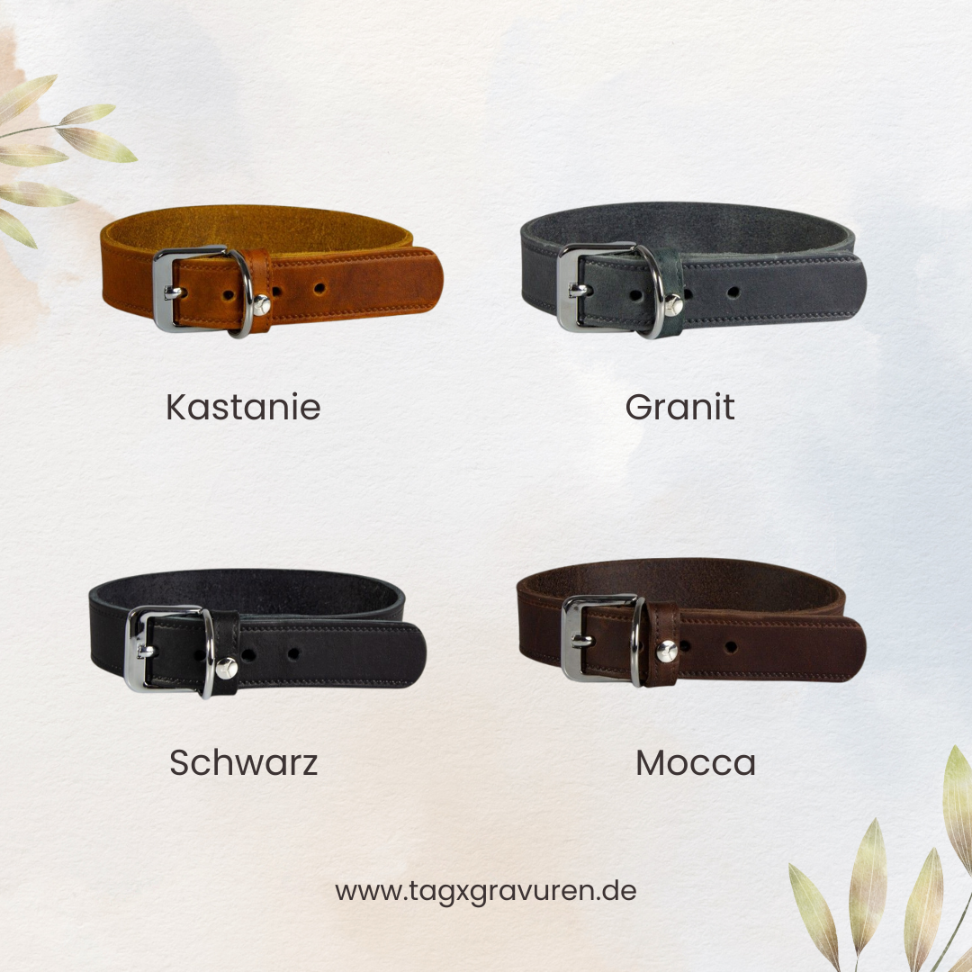 Leder-Hundehalsband mit Zugentlastung – Personalisiert