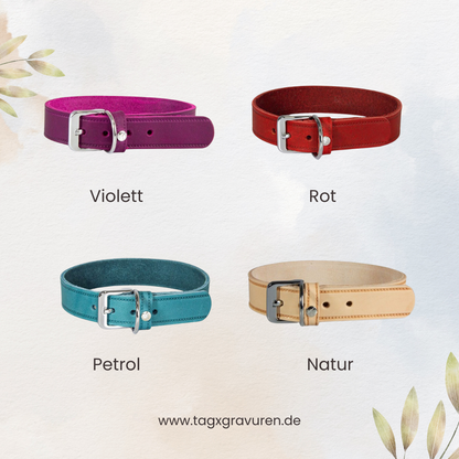 Leder-Hundehalsband mit Zugentlastung – Personalisiert