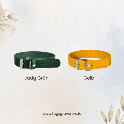 Leder-Hundehalsband mit Zugentlastung – Personalisiert