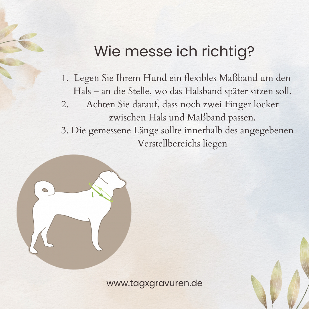 Leder-Hundehalsband mit Zugentlastung – Personalisiert